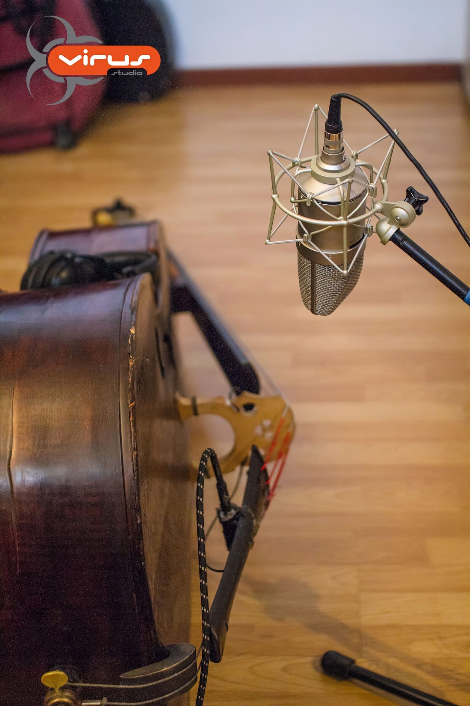 Upright bass recording session at Virus Studio B Monteriggioni Siena